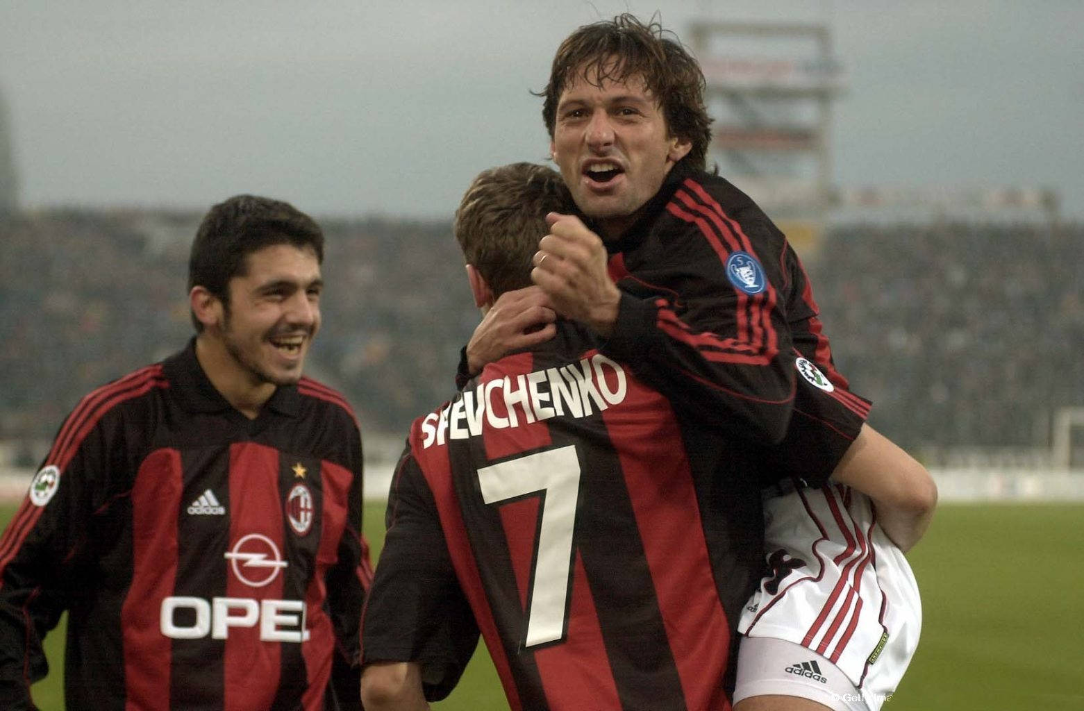 国家的顶尖 国家的顶尖